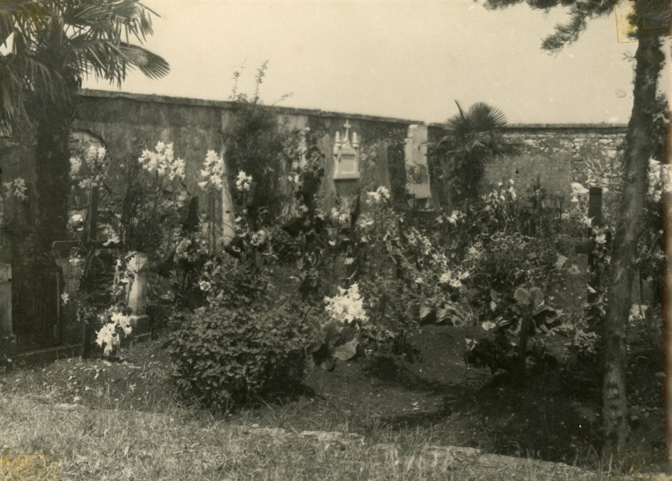 Image description